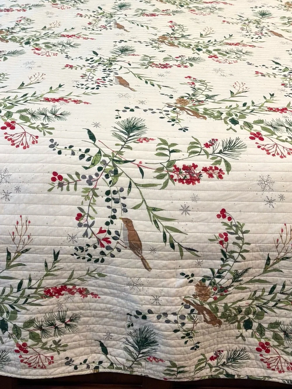 Levtex Home Joybirds King Quilt Reversible Christmas Holiday Bird Botanical
